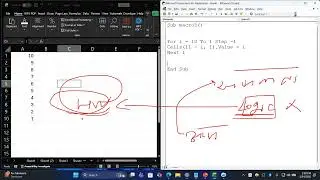 Excel VBA Loops Explained | For Loop, While Loop