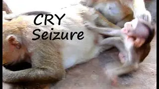 Super Cry ! Toni cry loudly ask mom stop block milk | Toni broke body cry ask mom have milk.