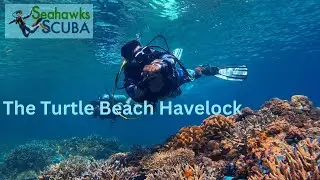 Scuba Diving at Turtle Beach | Scuba Diving in Andaman | Seahawks SCUBA #turtlebeach #havelock