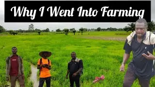 Rice Farming In Enugu Nigeria || Why I Went Into Farming
