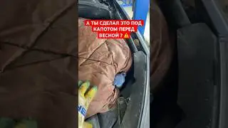 Обязательно посмотрите под капотом эту штуку