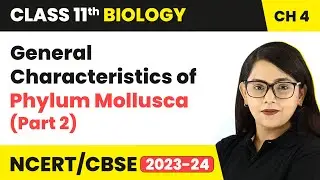 General Characteristics of Phylum Mollusca (Part 2) | Class 11 Biology Chapter 4 | NCERT/CBSE