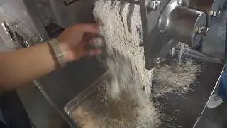 Double screw extrusion granulating machine flour granulator