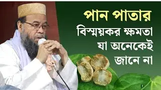 যত বেশি পারেন পান খান — স্বাস্থ্য ও সুন্নতি নিয়ে পির সাহেব হুজুরের হৃদয়ছোঁয়া ওয়াজ”