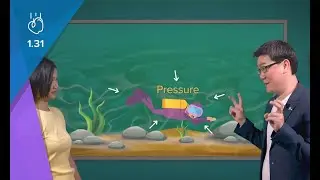 Cambridge IGCSE Physics | 1.31 Pressure (Fluid) | GCSE | O Levels | My Second Teacher