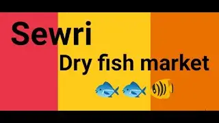 Sewri Dry Fish Market!🐟 |#sewri #fish #market