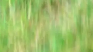 VCLP0002