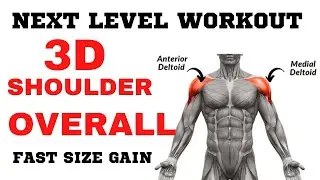 3D |  next Level Shoulder Workout | For Size Gain#bodybuilding #viralvideo #love