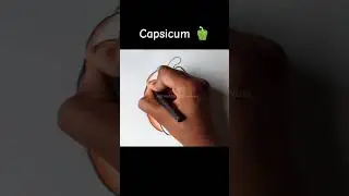 Capsicum🫑|| Step By Step Drawing ||#drawing #capsicum #flowers #art #bellpeppers #easy #colors