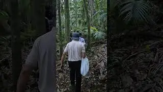 SUNDAY 5 OCTOBER 2025. CAMPING AND HIKING AT BORDER RANGES NATIONAL PARK. 5/10/2025.