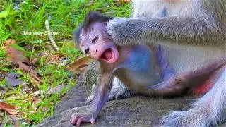 Goose Bump..! Adorable baby persuades mom to get some milk.