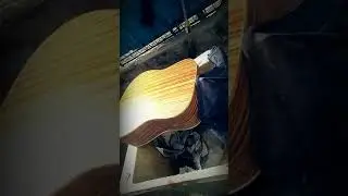Gitar maestro Ed-2
