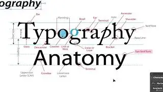 24  Illustrator Typography Anatomy & Character control