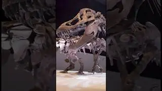 What do we like most about working in a museum?