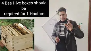 Role of Honey Bees