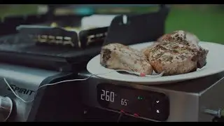 Weber Spirit Smart Grills