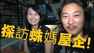 《香港爬道毛蜘蛛系列》探訪 蛛媽屋企!