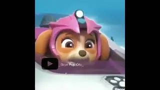 💦&bull;𝓒𝓸𝓻𝓪𝓵 𝓪𝓷𝓭 𝓢𝓴𝔂𝓮&bull;🌸 (𝓮𝓭𝓲𝓽/ #pawpatrol #edit #skye #skyepawpatrol #aquapups #coral #shorts