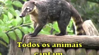 Todos os animais cantam