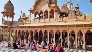 मोहे मौत मिले बरसाने में फुल कीर्तन जय श्री राधे श्री हरिवंश!!