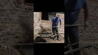 Clean up the yard on abandoned house! #abandonedhouse #cleanup