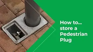 How To Store Pedestrian Plug