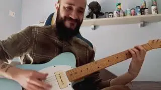Gojira - To Sirius (cover)