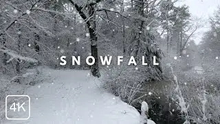 Snowfall in a Magical Forest | 4K Walking in the Winter Snow (Relaxing Crunch Sounds)