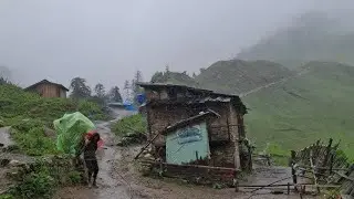 Beautiful And Relaxing Nepali Mountain Village Life in Rainy day  Timel ||