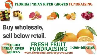Florida Indian River Groves - Trueview Banner Ad Production