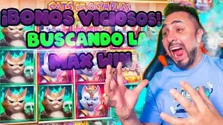 &iexcl;Bonos viciosos! Encontramos los bonos que mas pagan | ZexterPKM