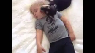 sweetest dreams, darlings (cute vine video)