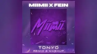 S&Eacute; MIIMII x FEIN (DJ TONYO REMIX & MASHUP)