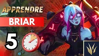 GUIDE FR S14 : APPRENDRE BRIAR EN 5 MINUTES !