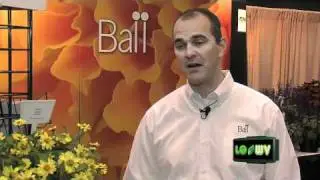 Ball Horticulture Introduces New line of Flowers at the GIE+EXPO