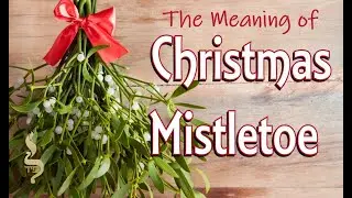 Christmas Mistletoe | The Meaning and Origins