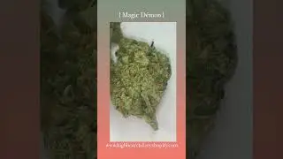 #cbd #cbdforlife #cbdlife #cbdshop #cbdflower #cbdhash