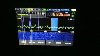 XSG Shanghai Radio (China), 8806 USB,  2026.01.03,  14.01 UTC
