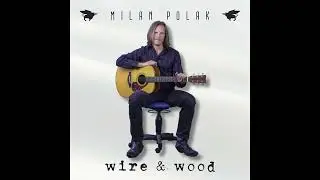 Milan Polak - The Future Is Now (feat. Billy Sheehan)