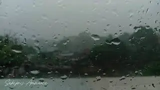 Afternoon Rain Sounds 🌧️ | Relaxing ASMR for Stress Relief & Calm Mind