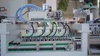 Automatic Cell Sorting Machine for All Types Cell , Series- 18, 21, 32, 33, 46  NMC, LFP, Sodium Ion