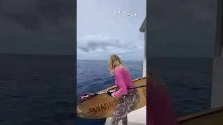 sup surfing 🌊 in paradise Maldives Part-8 #automobile #maledives #supsurf #viral #shorts