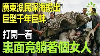 深海撈出巨型千年巨蚌，打開一看，裏面竟躺著個女人！