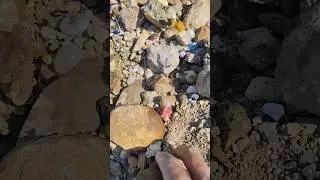 #pearlhunter #crystals #stone #gemstone #satisfying #pearl #treasure #mining #gold #gems #shorts