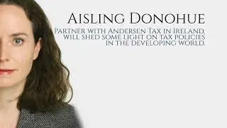 Tax Risks in the Developing World