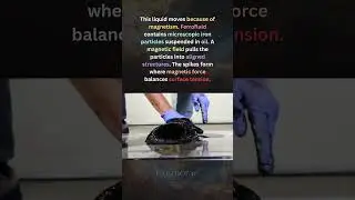 This Liquid Moves Using Magnetism..