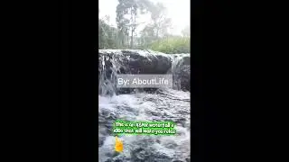 This is an ASMR waterfall video that will make you relax