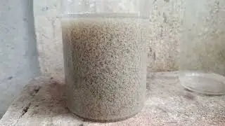 Air jernih bukan berarti tidak ada logam emasnya, ini pembuktian nyata. 