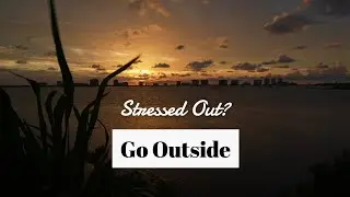 Central Florida's Hidden Outdoor Adventure Gems