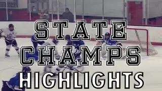 Lowell-South Christian-Caledonia vs. Grand Rapids Northview - 2016 Hockey Highlights on STATE CHAMPS
